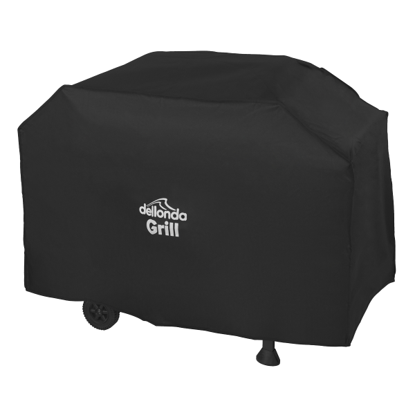 DG19_PIC2_DFC1381977