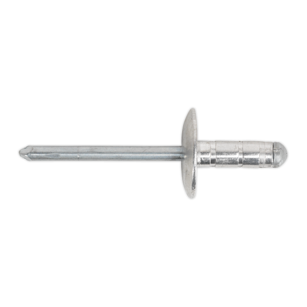 RM4819L.V2