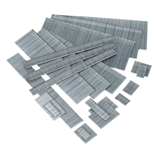 SAAN1830.V2_DFC0950892