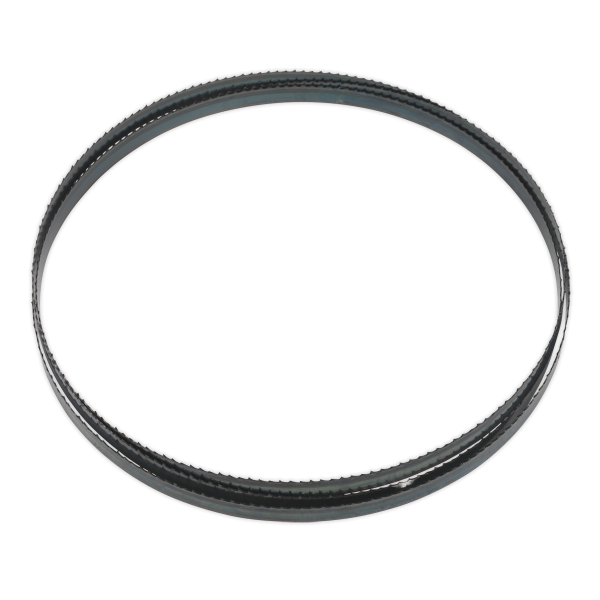 SM1305B06